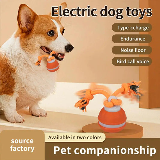 Electric dog toy ball with rope, available in blue and orange