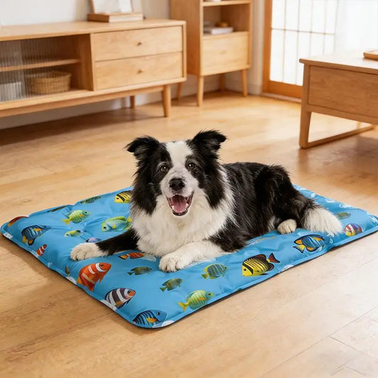 Cat lying on self-cooling gel mat in sunny room