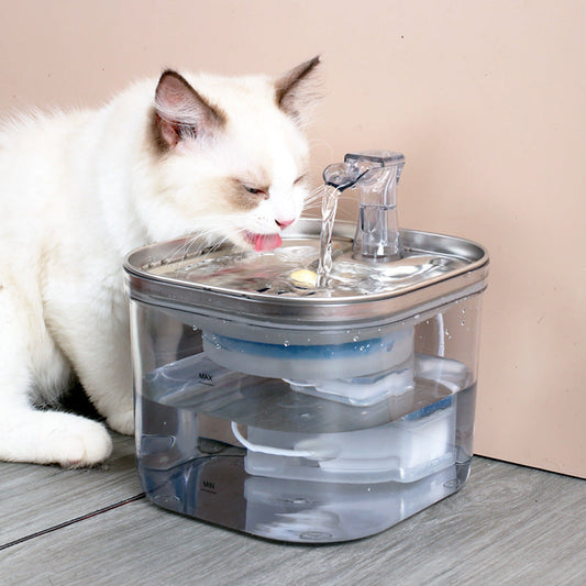 Cat drinking from a circulating stainless steel water fountain