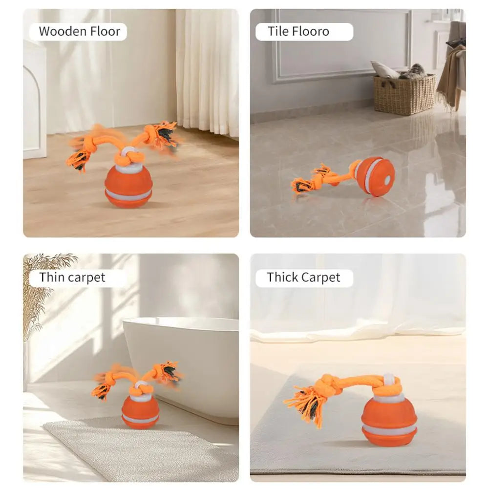 Interactive rolling ball toy shown on wooden floor, tile, and carpet