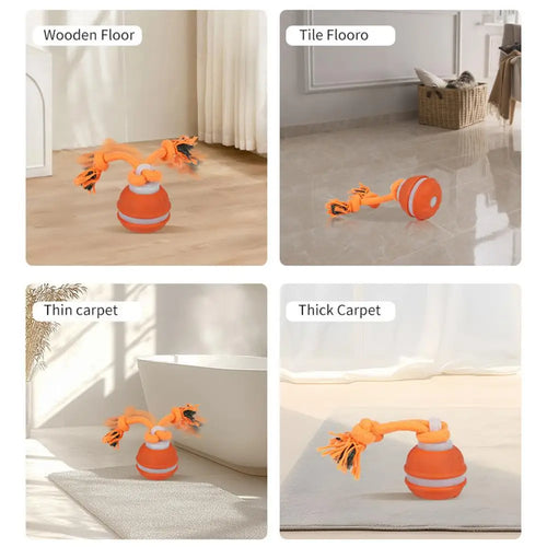 Interactive rolling ball toy shown on wooden floor, tile, and carpet