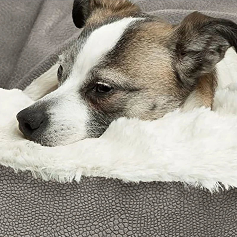 CozyNest Calming Orthopedic Pet Bed for Dogs & Cats