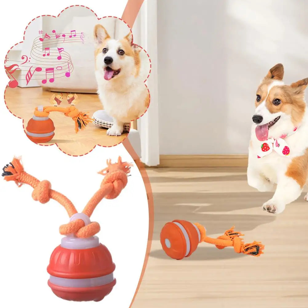 Motion-Activated Interactive Rolling Ball Toy for Dogs and Cats - blue