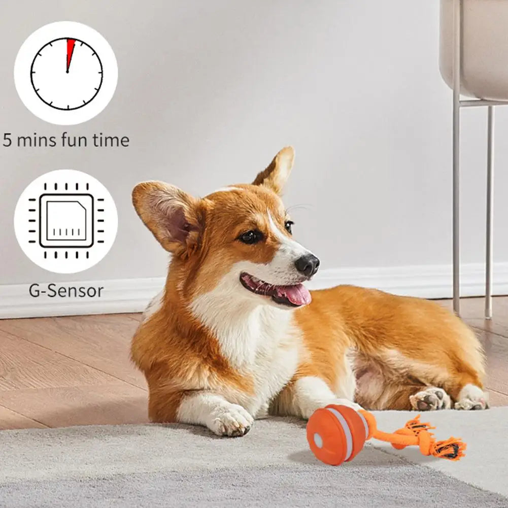 Interactive dog toy ball with 5-minute play timer and motion sensor